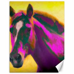 Vibrant Abstract Equine Art Canvas 12  X 16  by ExtraGoodSauce