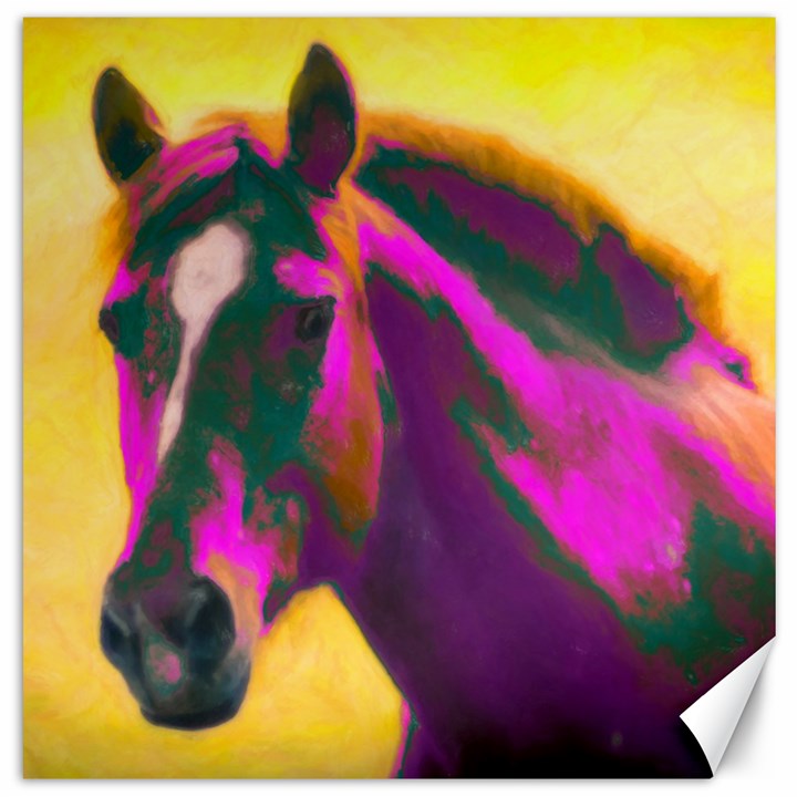 Vibrant Abstract Equine Art Canvas 20  x 20 