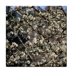 Pear Tree In Full Bloom Tile Coaster by ExtraGoodSauce