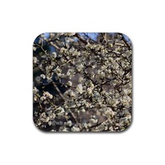 Pear Tree in Full Bloom Rubber Coaster (Square)