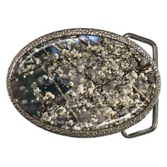 Pear Tree In Full Bloom Belt Buckles