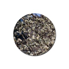 Pear Tree In Full Bloom Rubber Coaster (round) by ExtraGoodSauce