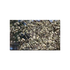 Pear Tree in Full Bloom Sticker (Rectangular)