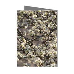 Pear Tree in Full Bloom Mini Greeting Cards (Pkg of 8)