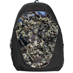 Pear Tree in Full Bloom Backpack Bag