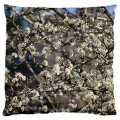 Pear Tree In Full Bloom Standard Premium Plush Fleece Cushion Case (one Side) by ExtraGoodSauce