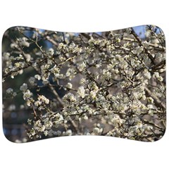 Pear Tree in Full Bloom Velour Seat Head Rest Cushion