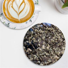 Pear Tree In Full Bloom Uv Print Round Tile Coaster by ExtraGoodSauce