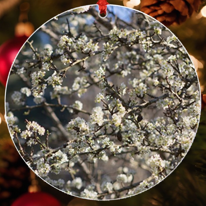 Pear Tree in Full Bloom UV Print Acrylic Ornament Round