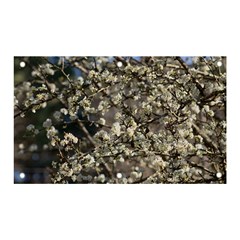 Pear Tree In Full Bloom Banner And Sign 5  X 3  by ExtraGoodSauce