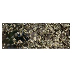 Pear Tree In Full Bloom Banner And Sign 8  X 3  by ExtraGoodSauce