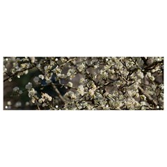 Pear Tree In Full Bloom Banner And Sign 9  X 3  by ExtraGoodSauce