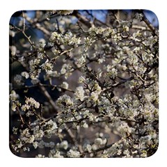 Pear Tree In Full Bloom Square Glass Fridge Magnet (4 Pack) by ExtraGoodSauce