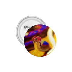 Vibrant Forked-tongue Snake Art 1 75  Buttons by ExtraGoodSauce