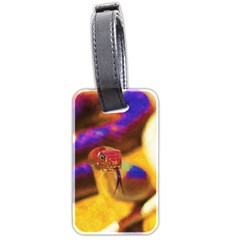 Vibrant Forked-tongue Snake Art Luggage Tag (two Sides) by ExtraGoodSauce