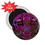 Pink and Purple Leopard 2.25  Magnets (10 pack)  Front