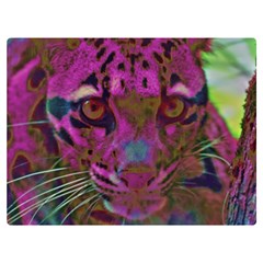 Pink And Purple Leopard Two Sides Premium Plush Fleece Blanket (baby Size) by ExtraGoodSauce