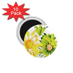 Two Yellow And Green Flowers On A White Background 1 75  Magnets (10 Pack)  by catchydesignhill