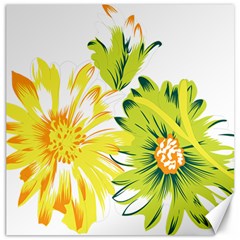 Two Yellow And Green Flowers On A White Background Canvas 16  X 16  by catchydesignhill