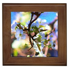 Springtime Pear Tree Blossoms Framed Tile by ExtraGoodSauce