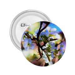 Springtime Pear Tree Blossoms 2 25  Buttons by ExtraGoodSauce