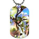 Springtime Pear Tree Blossoms Dog Tag (One Side) Front