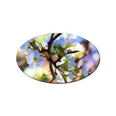 Springtime Pear Tree Blossoms Sticker Oval (10 Pack) by ExtraGoodSauce