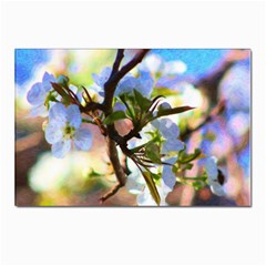 Springtime Pear Tree Blossoms Postcards 5  X 7  (pkg Of 10) by ExtraGoodSauce