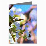 Springtime Pear Tree Blossoms Greeting Cards (Pkg of 8) Left