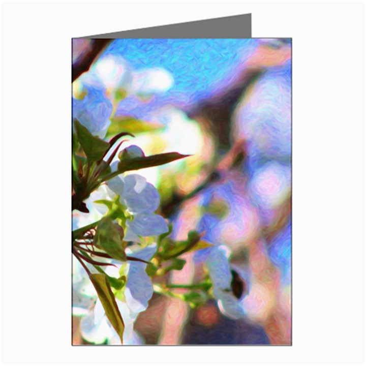 Springtime Pear Tree Blossoms Greeting Cards (Pkg of 8)