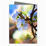 Springtime Pear Tree Blossoms Greeting Cards (Pkg of 8) Right