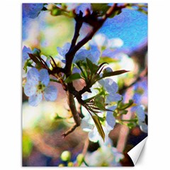 Springtime Pear Tree Blossoms Canvas 12  X 16  by ExtraGoodSauce