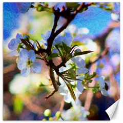 Springtime Pear Tree Blossoms Canvas 20  X 20  by ExtraAwesomeSauce