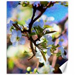 Springtime Pear Tree Blossoms Canvas 20  x 24  19.57 x23.15  Canvas - 1