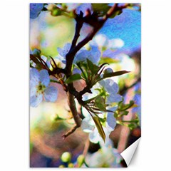 Springtime Pear Tree Blossoms Canvas 20  X 30  by ExtraGoodSauce