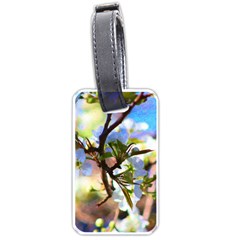 Springtime Pear Tree Blossoms Luggage Tag (one Side) by ExtraGoodSauce