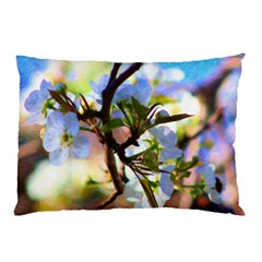 Springtime Pear Tree Blossoms Pillow Case (two Sides) by ExtraGoodSauce