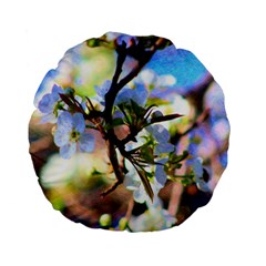 Springtime Pear Tree Blossoms Standard 15  Premium Flano Round Cushions by ExtraGoodSauce