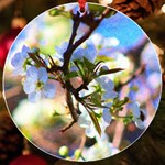 Springtime Pear Tree Blossoms UV Print Acrylic Ornament Round Front