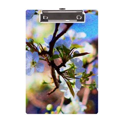 Springtime Pear Tree Blossoms A5 Acrylic Clipboard by ExtraGoodSauce