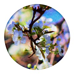 Springtime Pear Tree Blossoms Round Glass Fridge Magnet (4 Pack) by ExtraGoodSauce