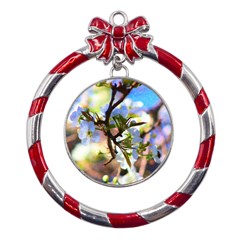 Springtime Pear Tree Blossoms Metal Red Ribbon Round Ornament by ExtraGoodSauce