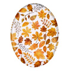 Brown Autumn Leaves Oval Glass Fridge Magnet (4 Pack) by kyorashop23