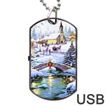 Icy Lights, Art, Christmas, Houses Dog Tag USB Flash (Two Sides) Front