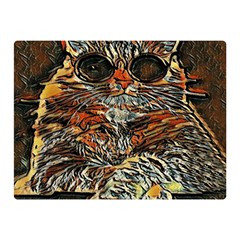 Cats Are Cooler cat in glasses Two Sides Premium Plush Fleece Blanket (Mini)