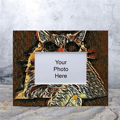 Cats Are Cooler Cat In Glasses White Tabletop Photo Frame 4 x6 