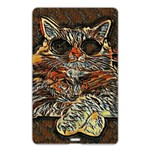 Cats Are Cooler cat in glasses Name Card Style USB Flash Drive Back