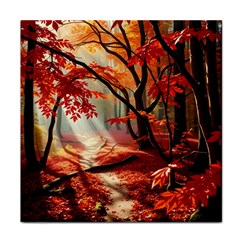 Forest Path Red Nature Face Towel