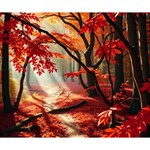 Forest Path Red Nature Deluxe Canvas 14  x 11  (Stretched) 14  x 11  x 1.5  Stretched Canvas