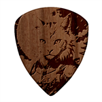 Epic Armored Cat Warrior Square Wood Guitar Pick Holder Case And Picks Set Pick